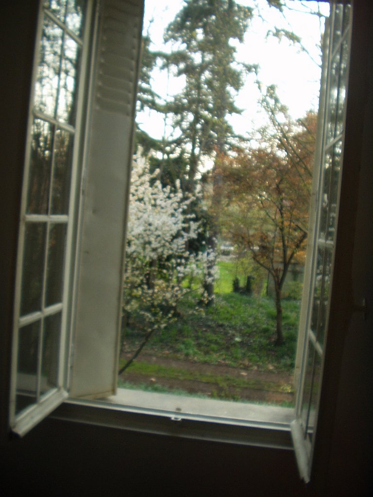 P1010164