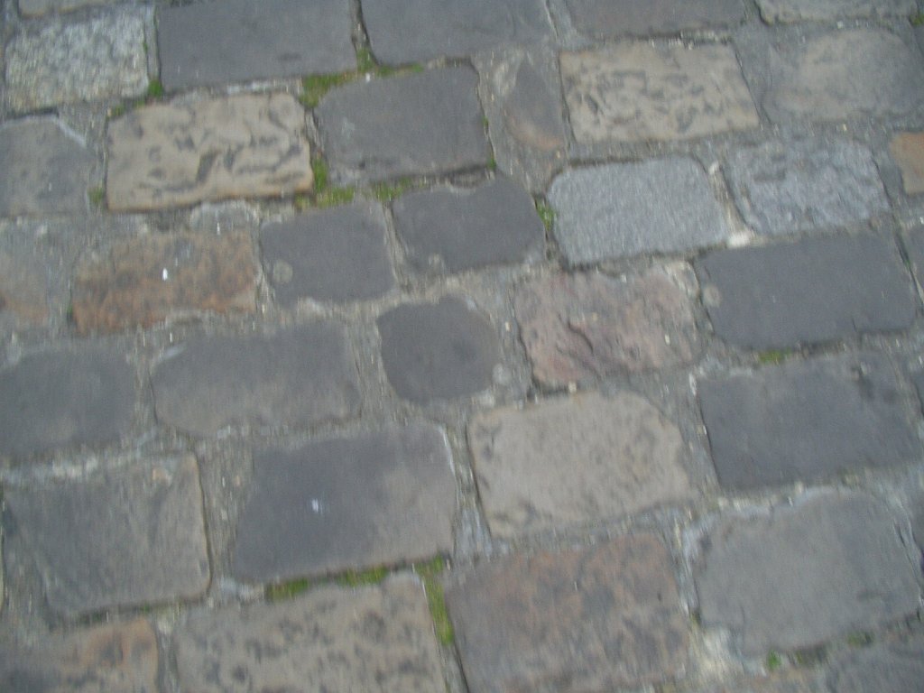P1010173