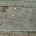 P1010149