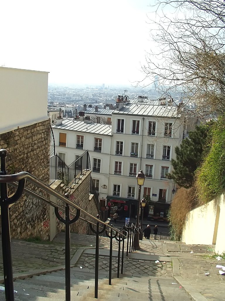 P1010009