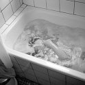 bw042