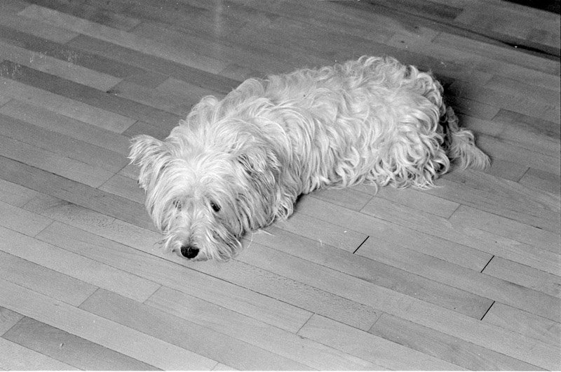 bw081
