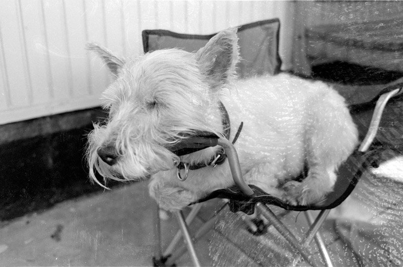 bw109