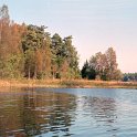 color146