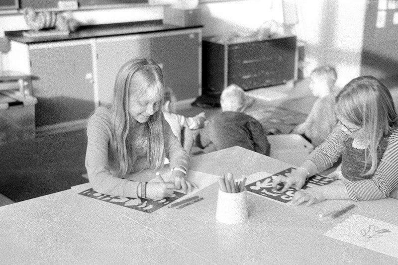 bw006
