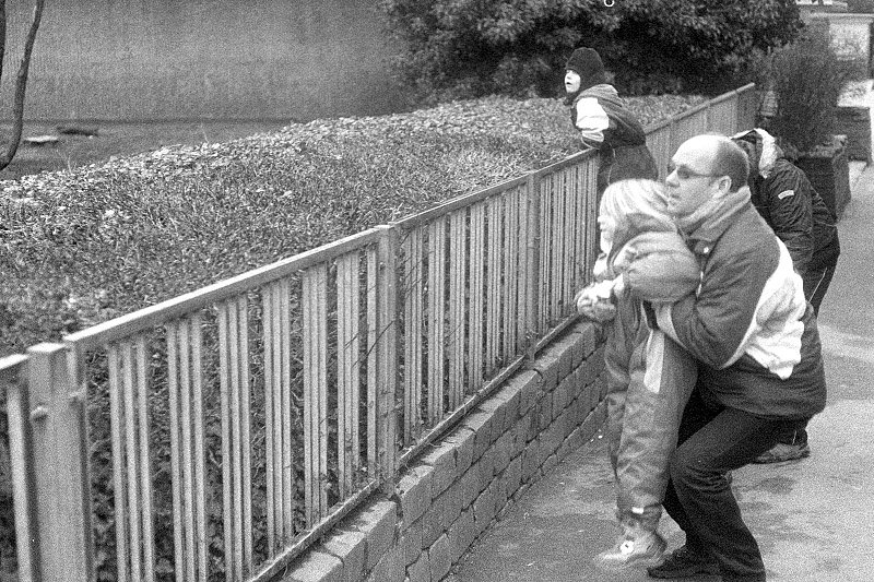 bw006