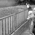 bw006