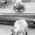 bw010