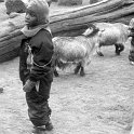 bw015