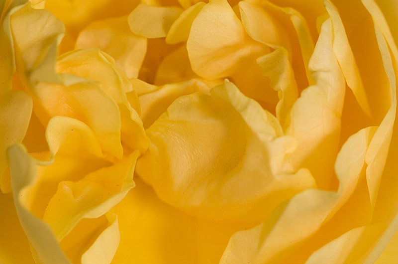 _DSC8068