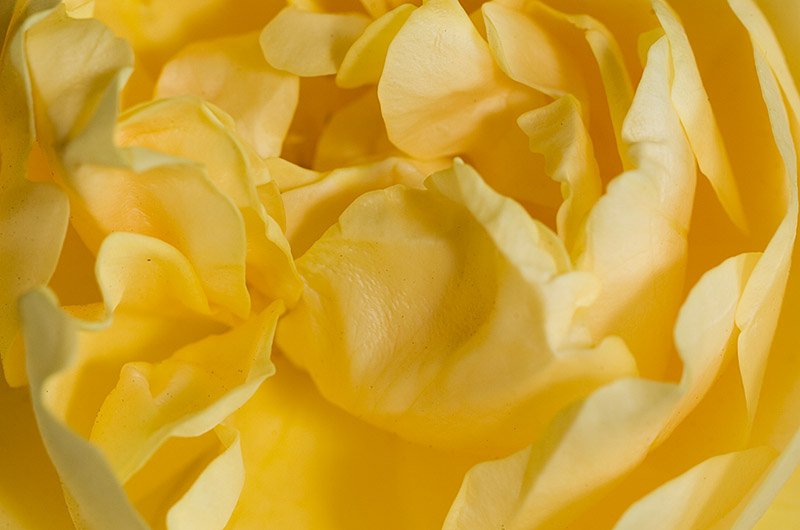 _DSC8069