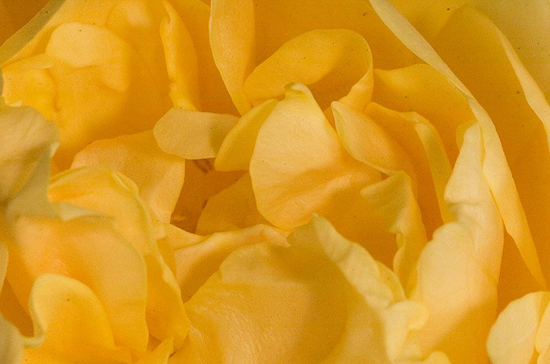 _DSC8070
