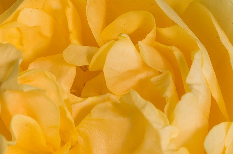 _DSC8071