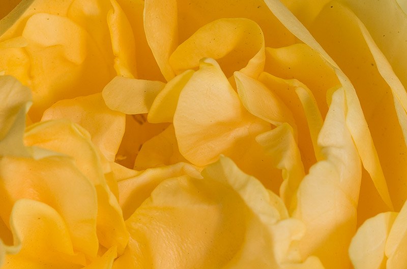 _DSC8072