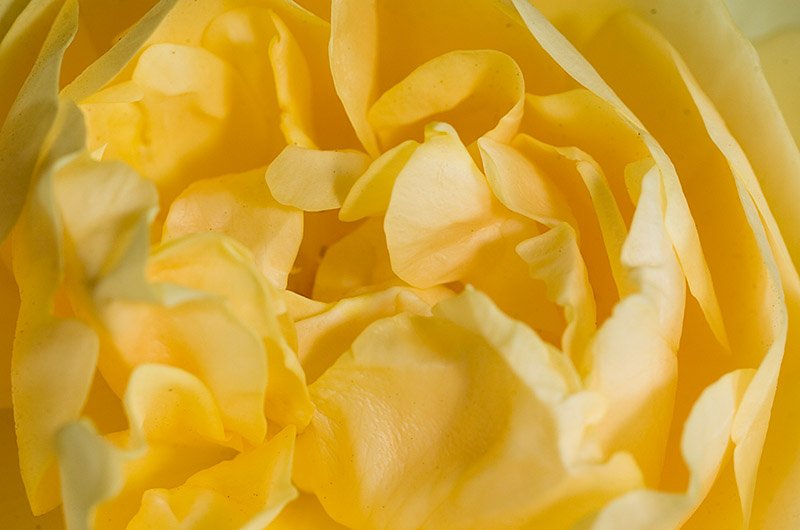 _DSC8073