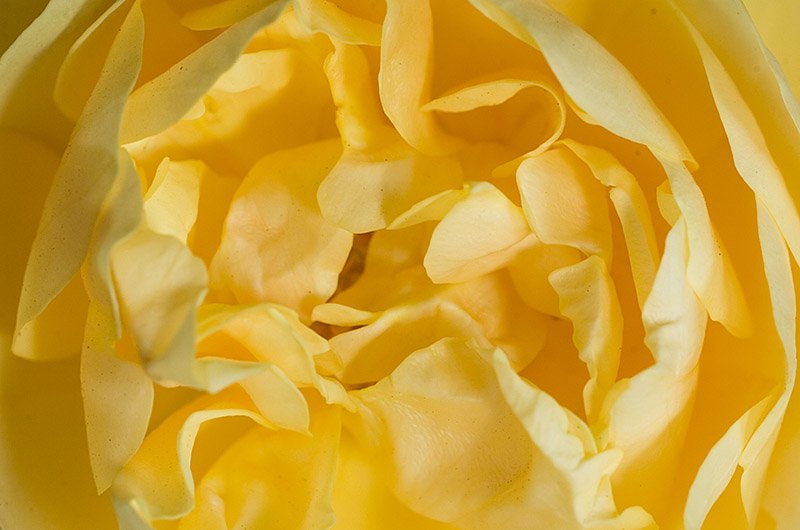 _DSC8075