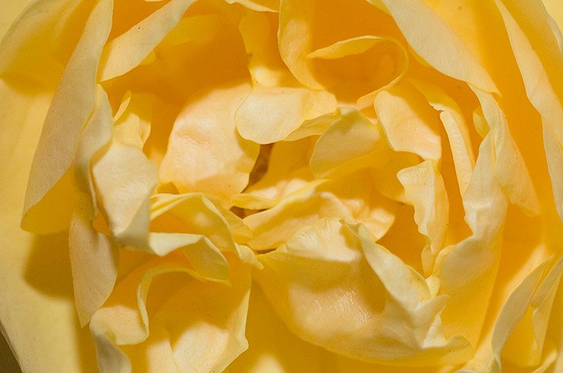 _DSC8077