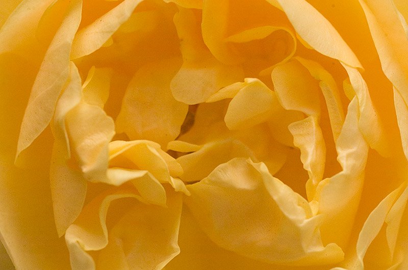 _DSC8078
