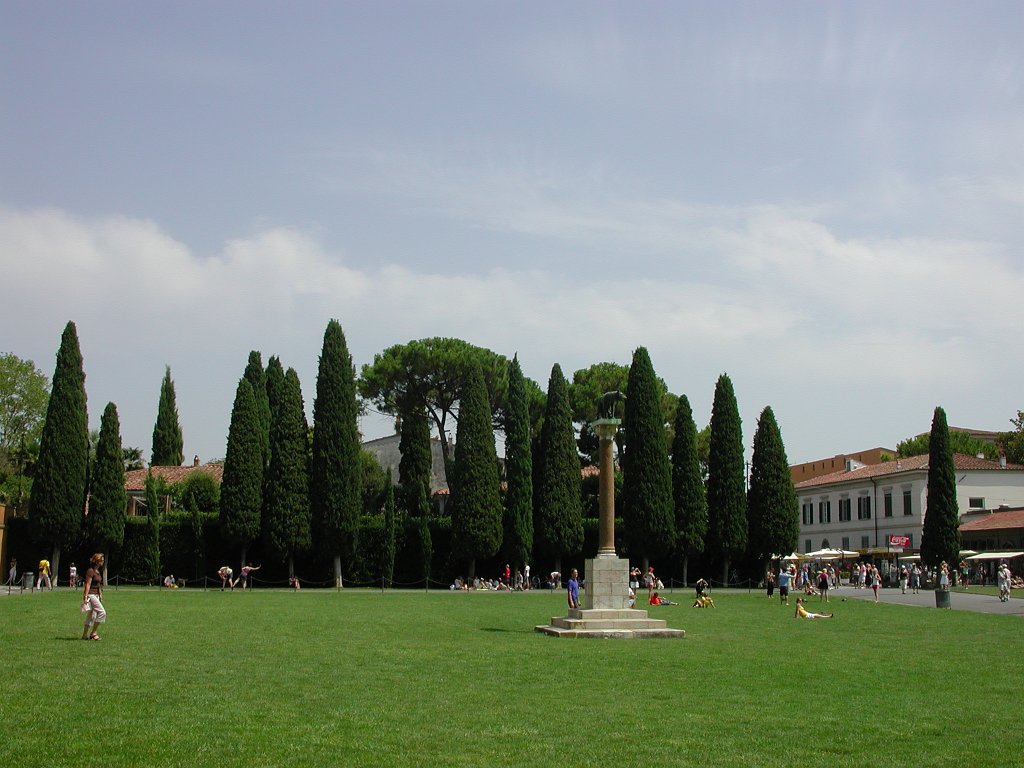 DSCN8906