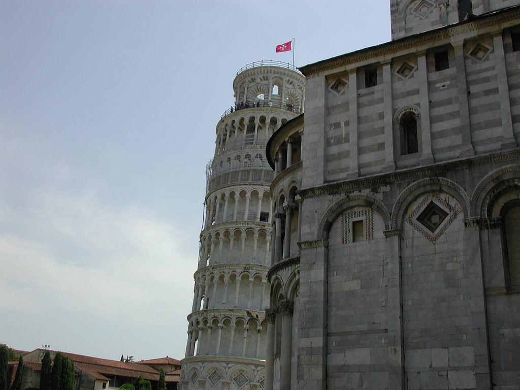 DSCN8908