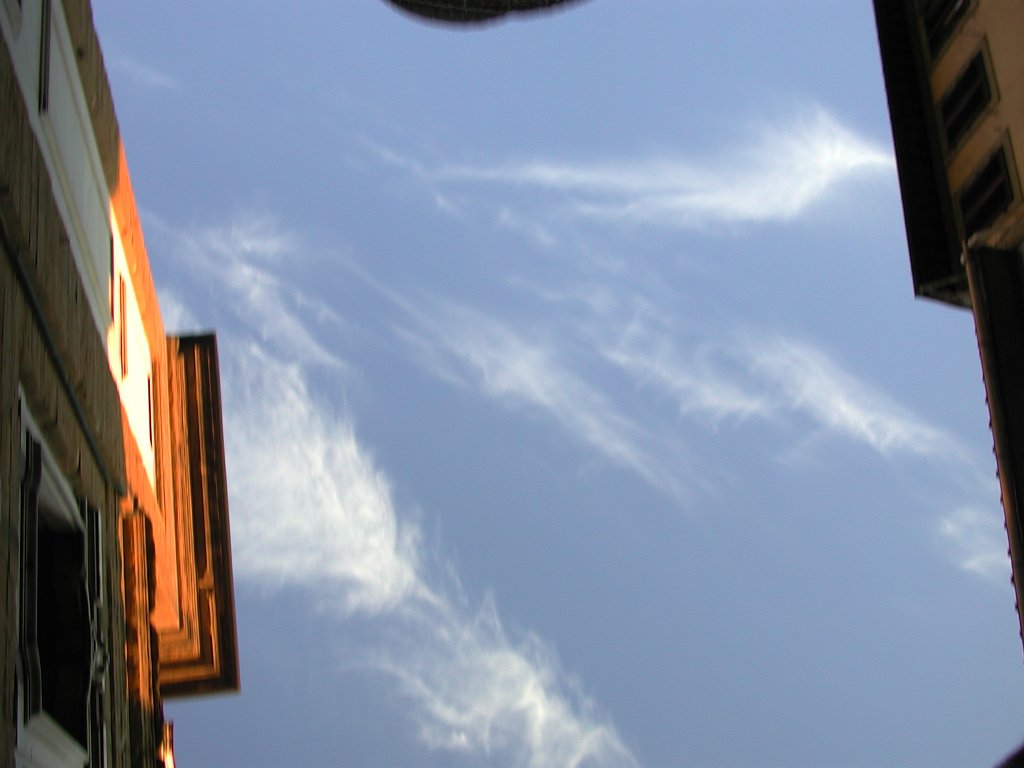 DSCN8916