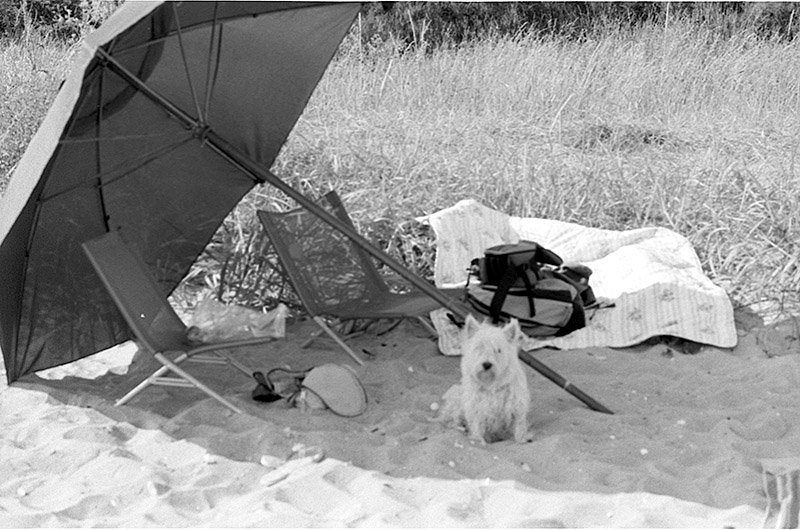 bw012