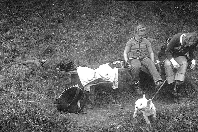 bw015