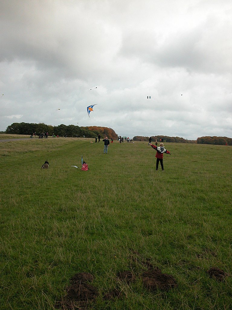DSCN0367