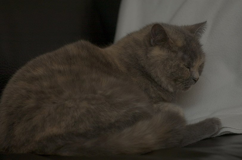 DSC_1596