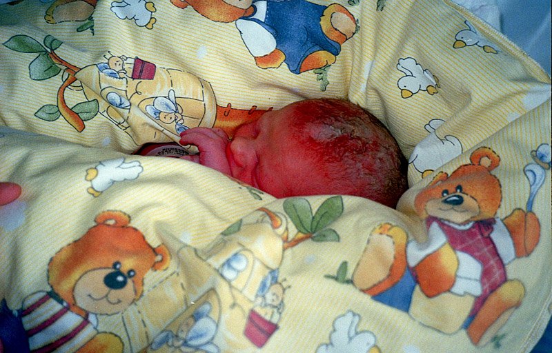 Scan-090801-0009