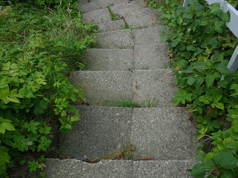 P1000543