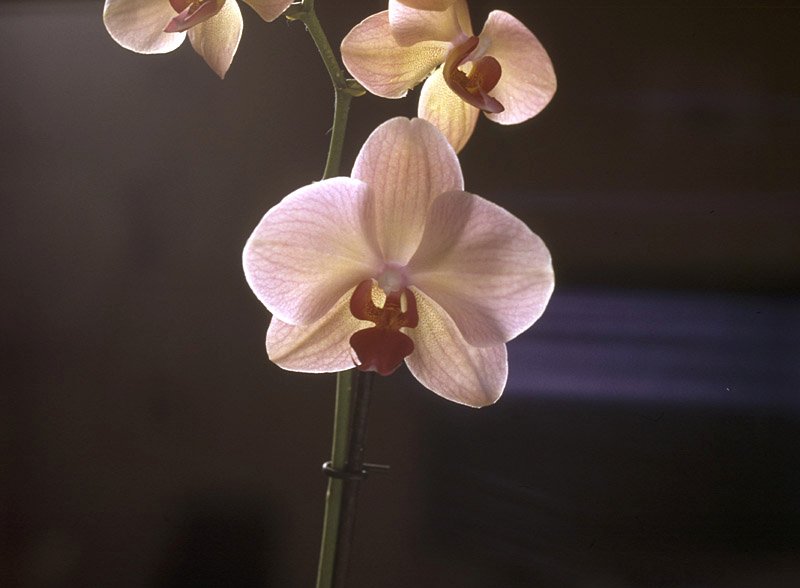 Scan-090821-0001