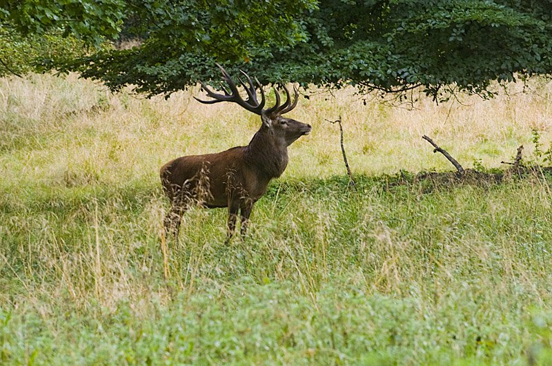 DSC_3905