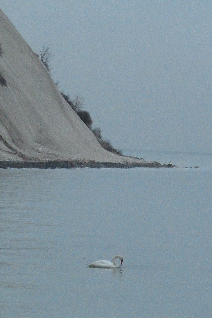 P1020837