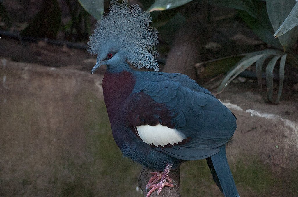 DSC_7323