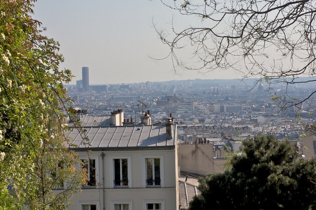DSC_0459