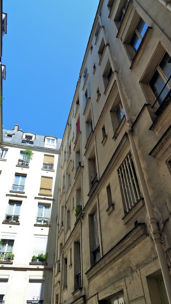 P1020979