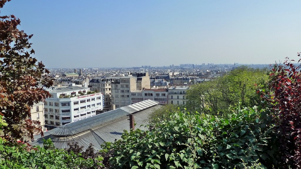 P1030004