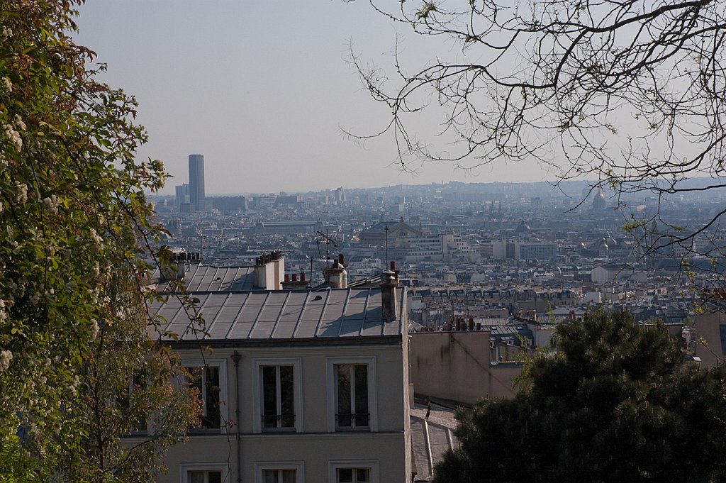 DSC_0459