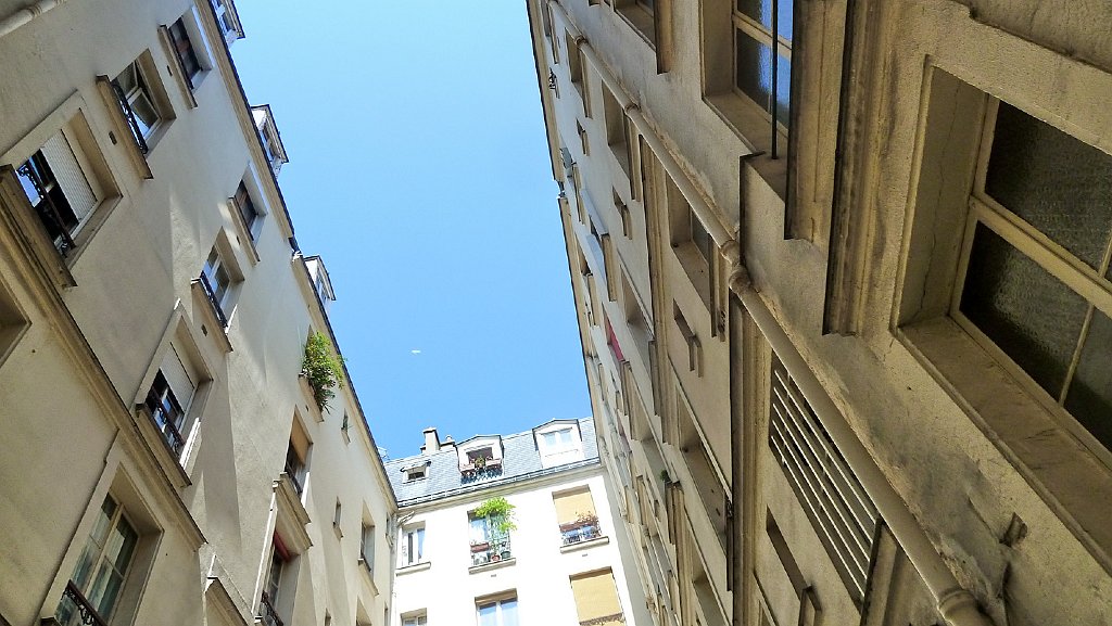 P1020981