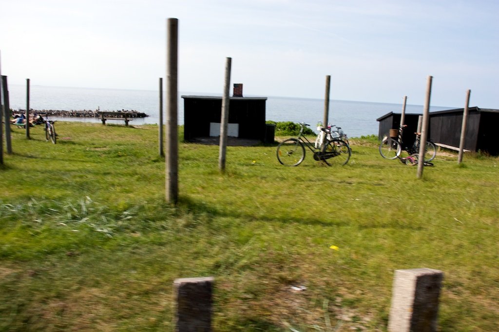 DSC_0831