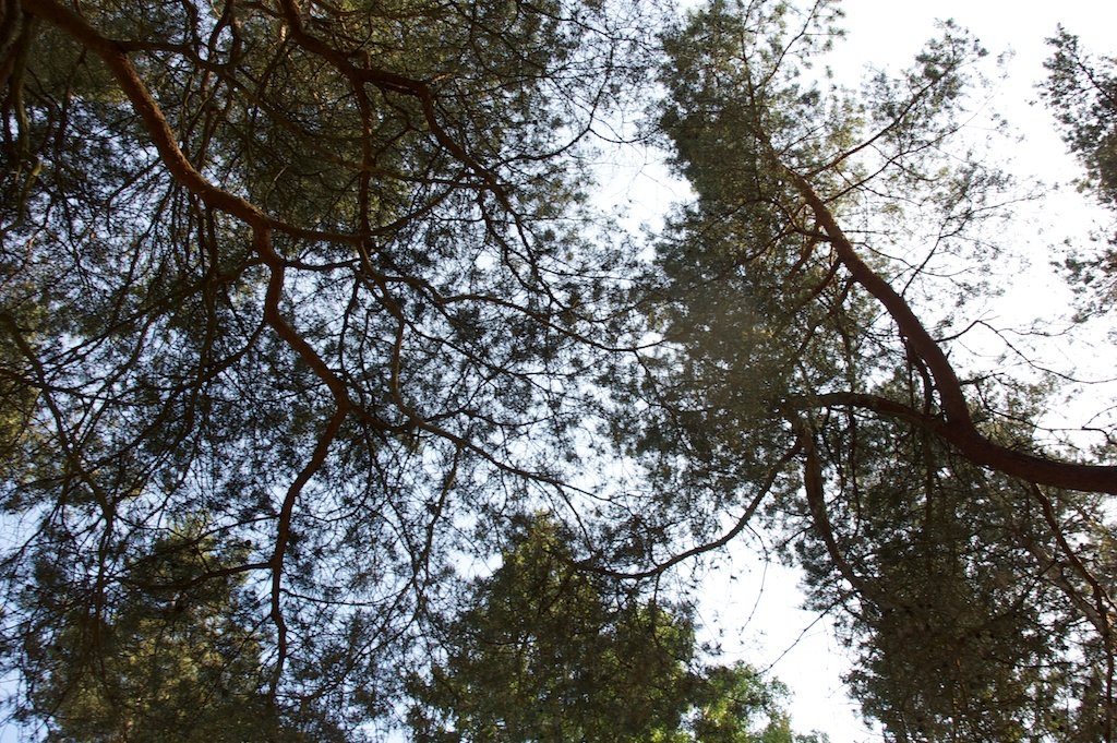 DSC_0840