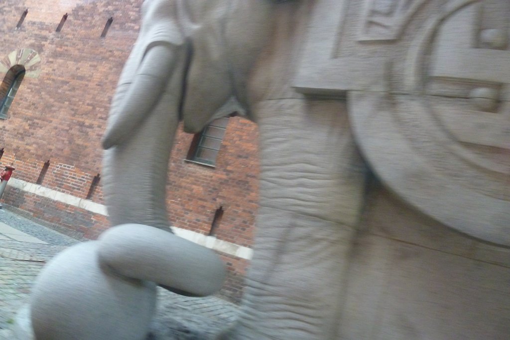 P1030631