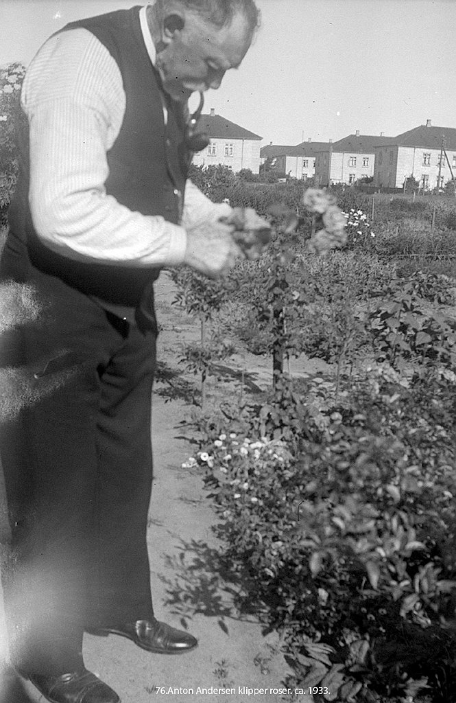 bw76